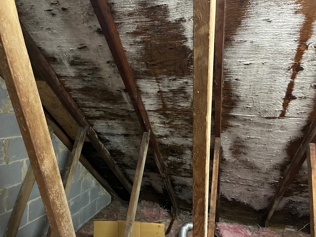 EcoClean Restoration