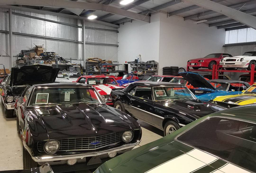 Universal Muscle Cars