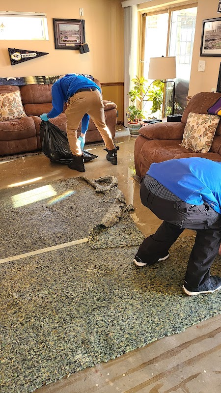 Healthy Home Restorations, Inc