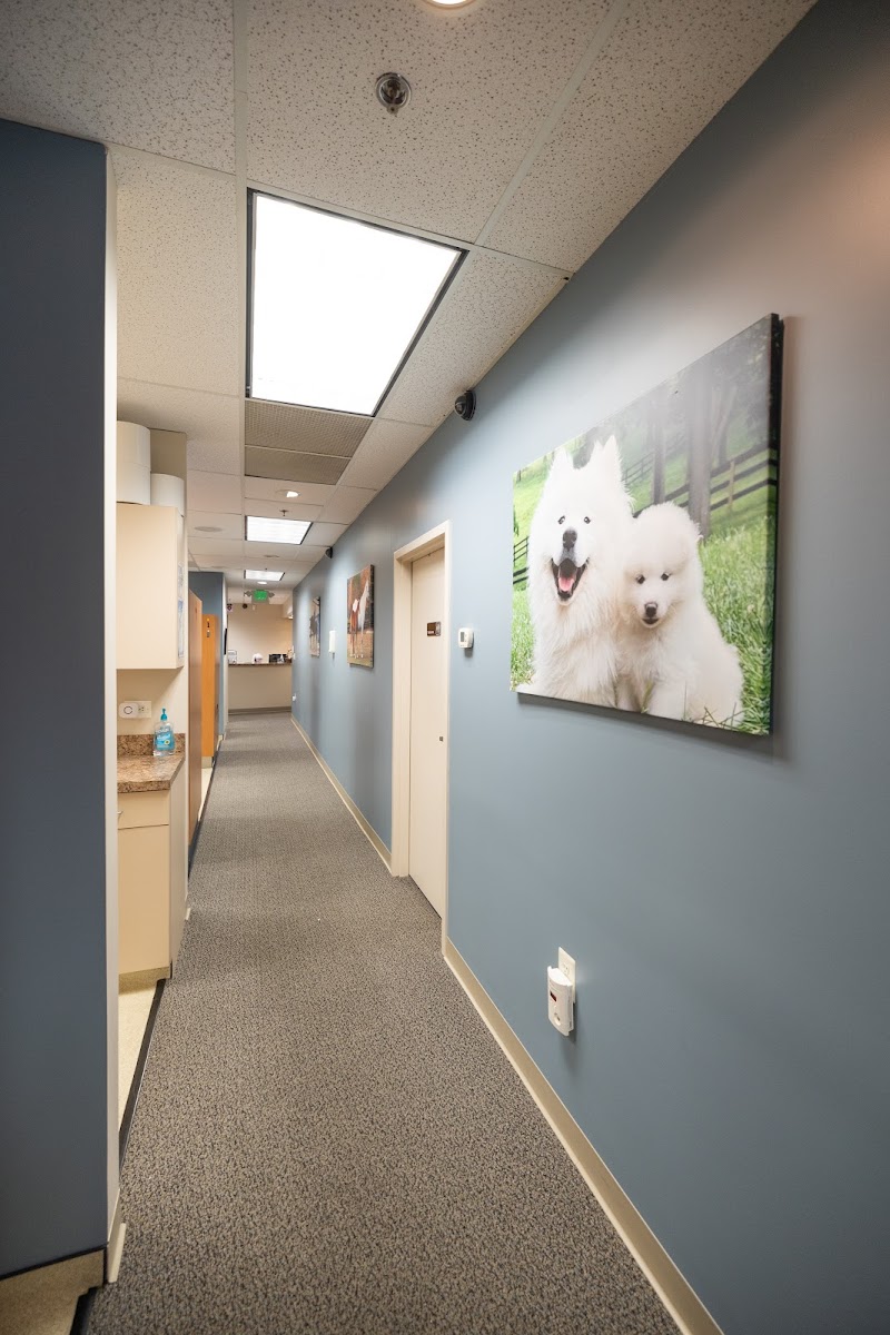 Diamond Dental of Owings Mills, LLC