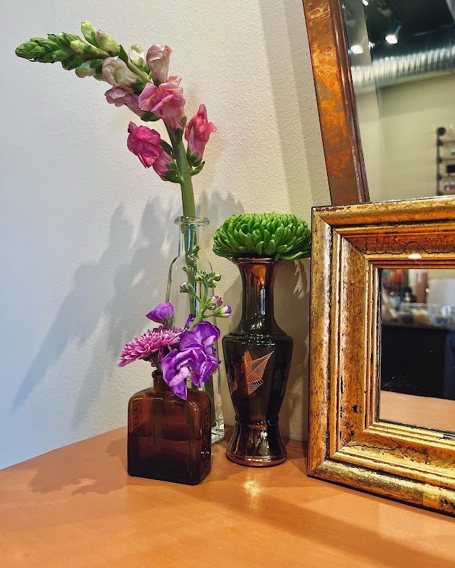 Dandelion Hair Studio & Apothecary