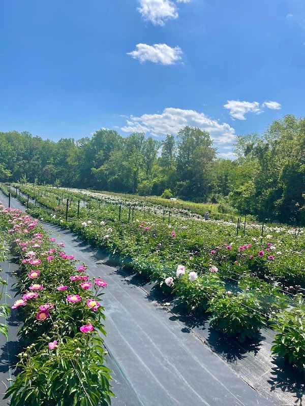 Cajun Crossing Farm