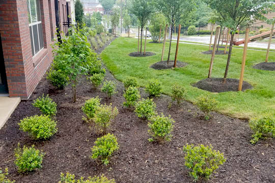 ER&M Ecological Restoration & Management