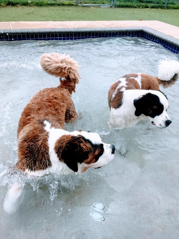 Reisterstown Pet Resort & Spa