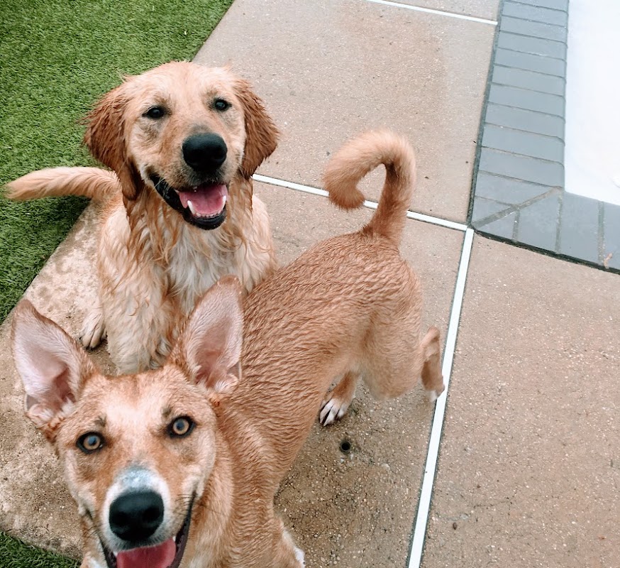 Reisterstown Pet Resort & Spa