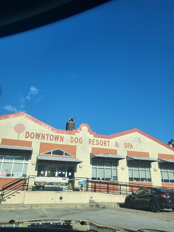 Downtown Dog Resort & Spa