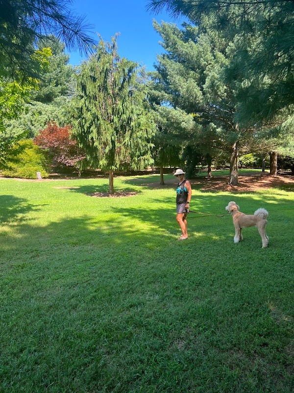 Susanna Farm Nursery Inc.