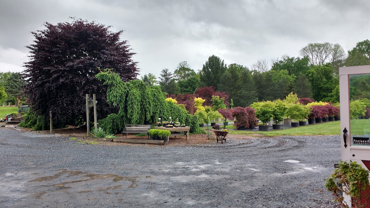 Susanna Farm Nursery Inc.