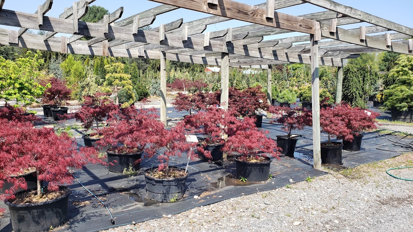 Susanna Farm Nursery Inc.