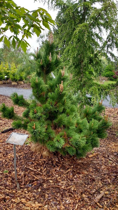 Susanna Farm Nursery Inc.