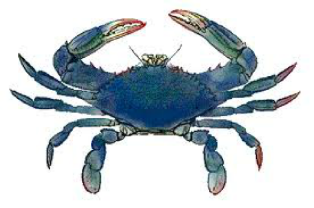Blue Crab Antiques, Inc.