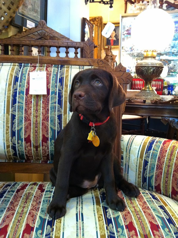 Blue Crab Antiques, Inc.