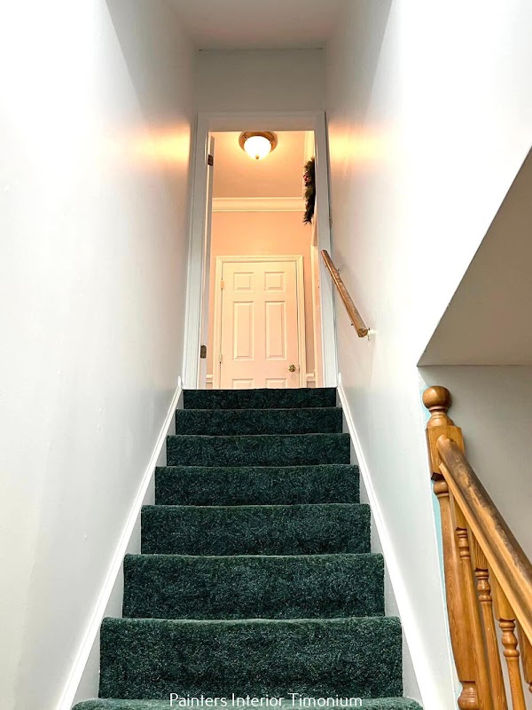 Perfect Painting & More