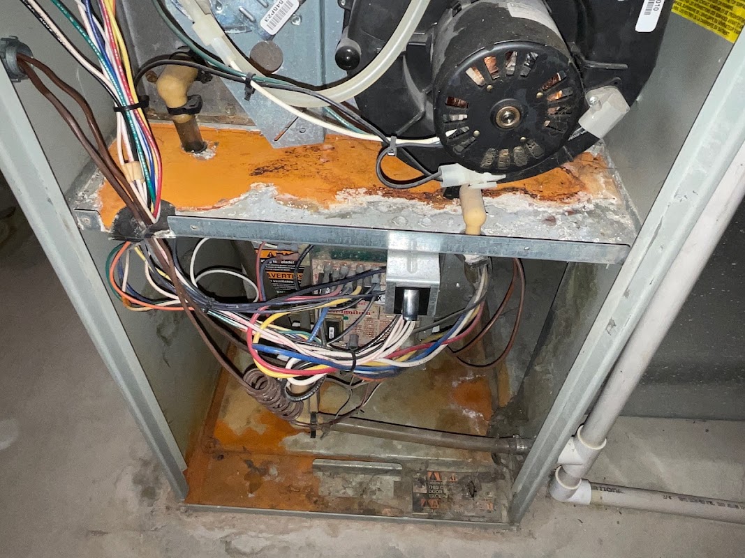 Showalter Property Consultants