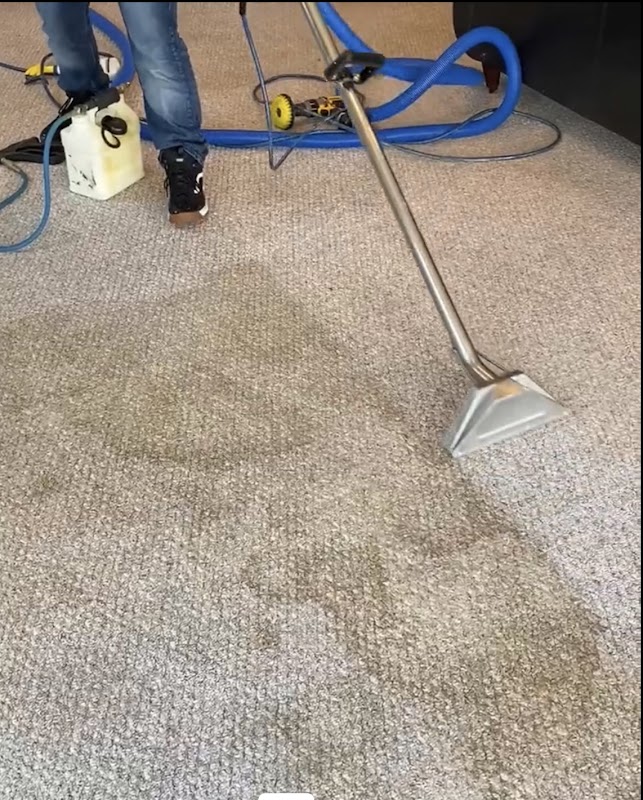 Davids Carpet and Upholstery Cleaning
