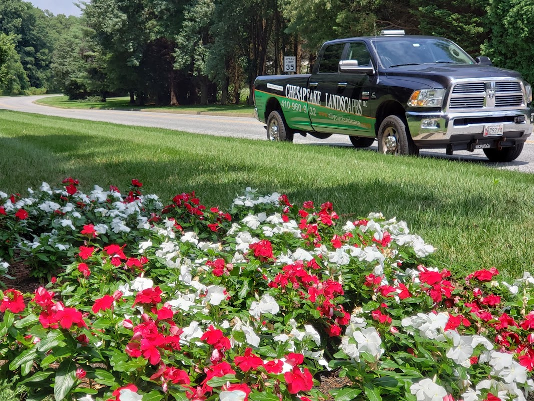 Chesapeake Landscapes, LLC