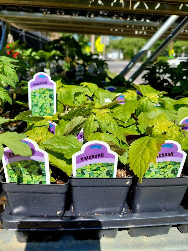 Evergreen Gene's Inc. Landscaping & Garden Center